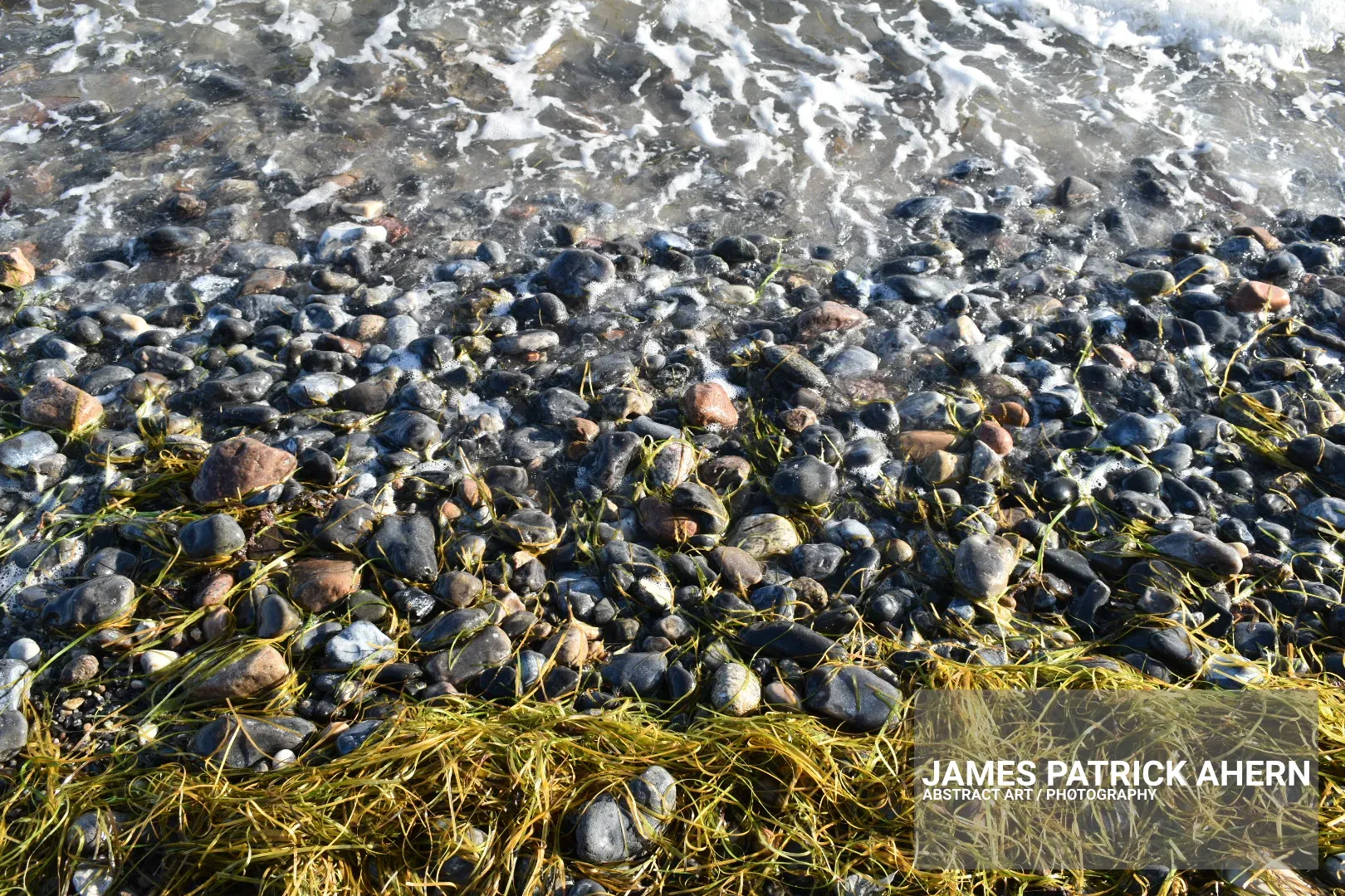 The Rocky Shore