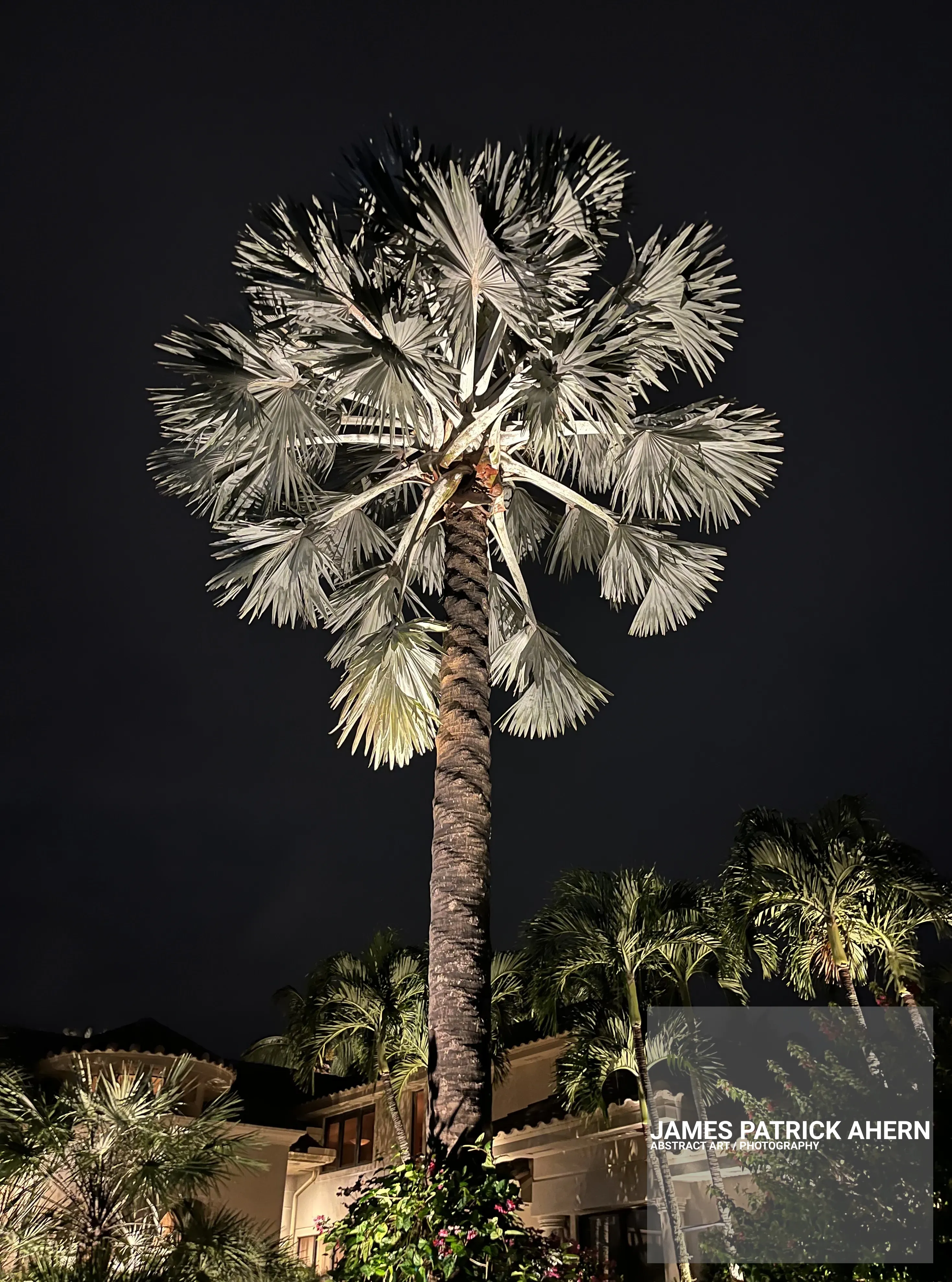 Nite time Photo